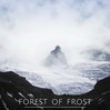 Forest Of Frost